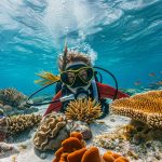 Explorer la plage de Malendure et la réserve Cousteau en Guadeloupe