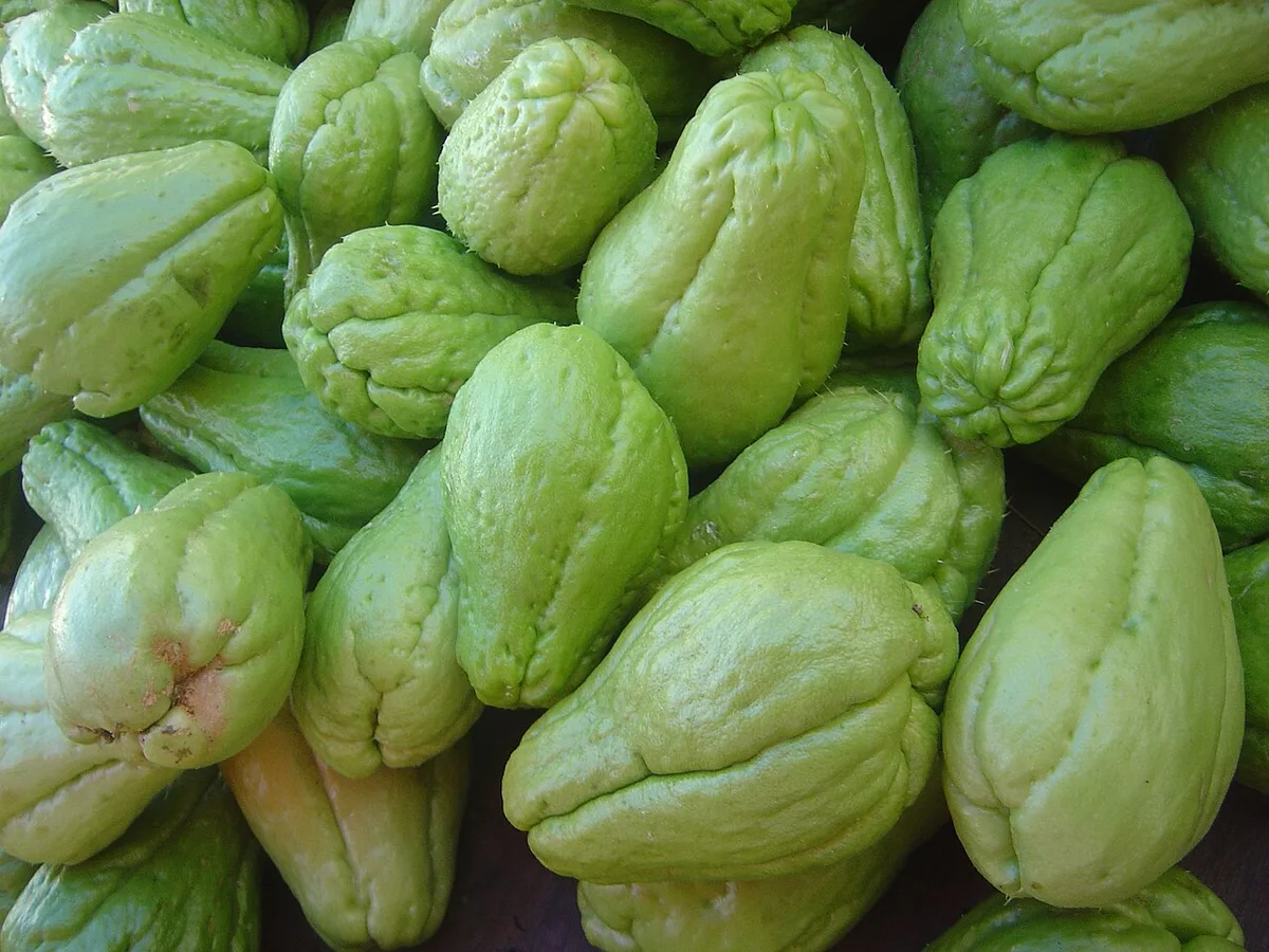 christophine chayotte légume-fruit antillais à peau verte